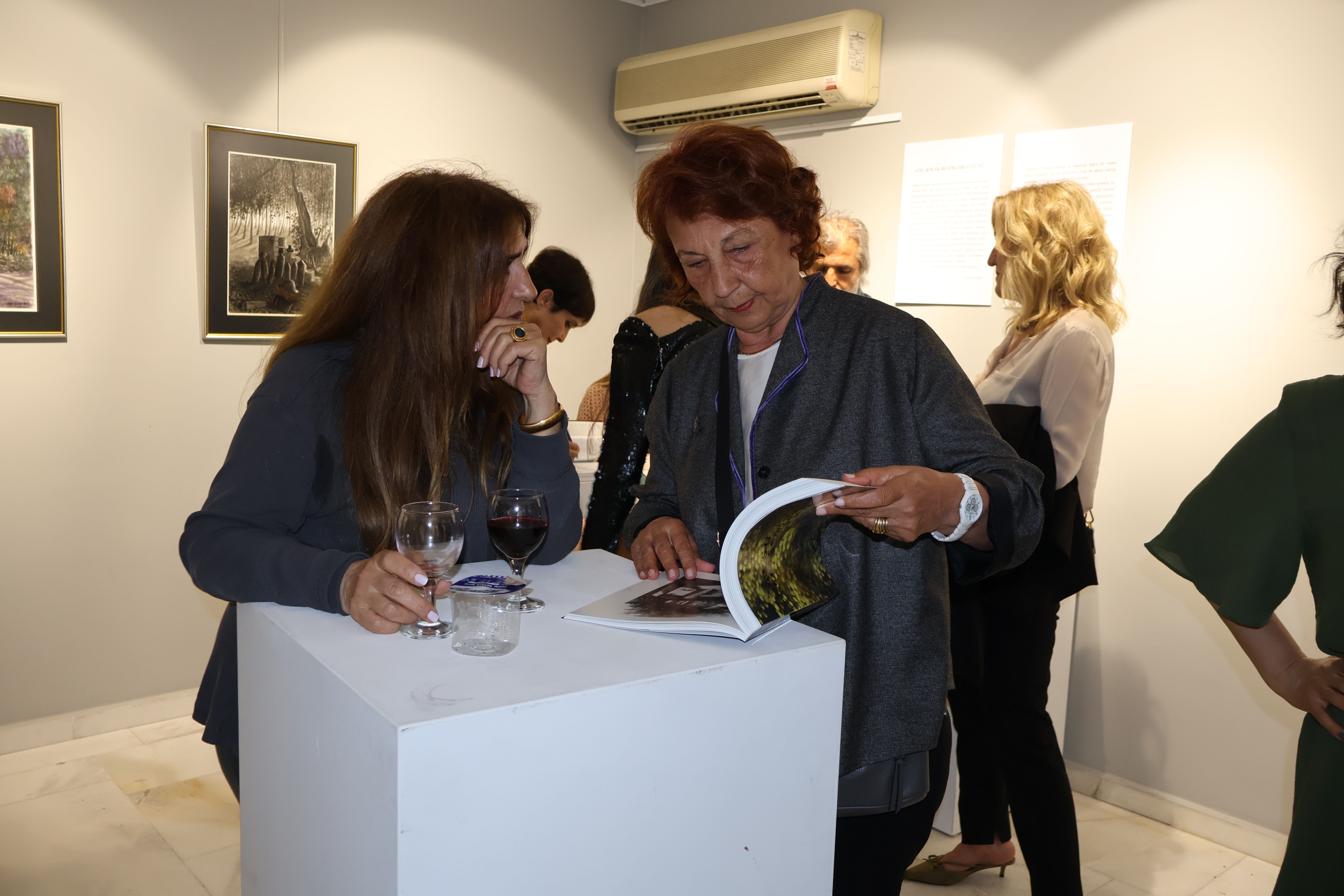 Aysu koçak kitap tanıtımı ve siyah beyaz resimlerden seçkiler evrim sanat galerisi 2 (75)