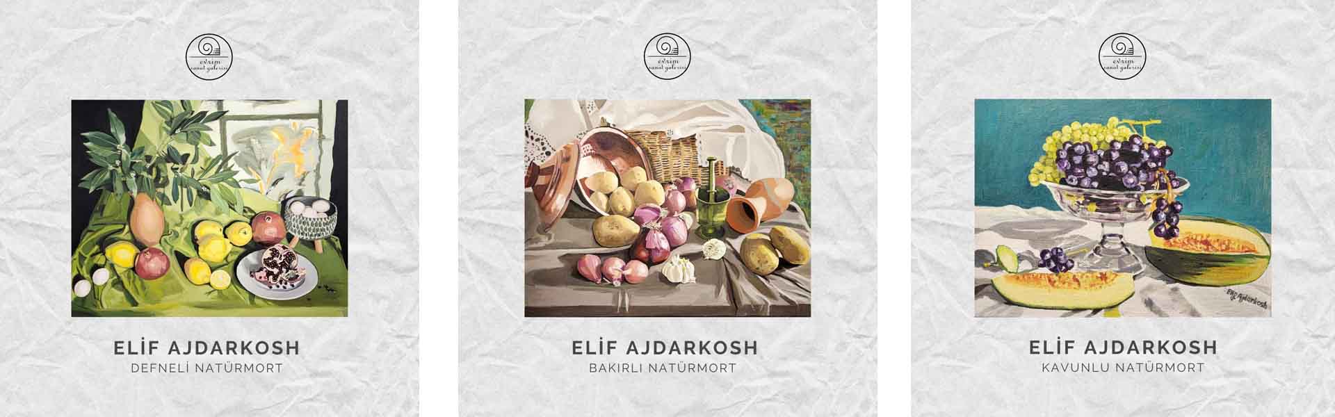 Elif ajdarkosh koleksiyonu (2)