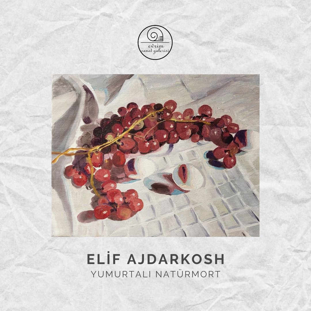 Elif ajdarkosh koleksiyonu (6)