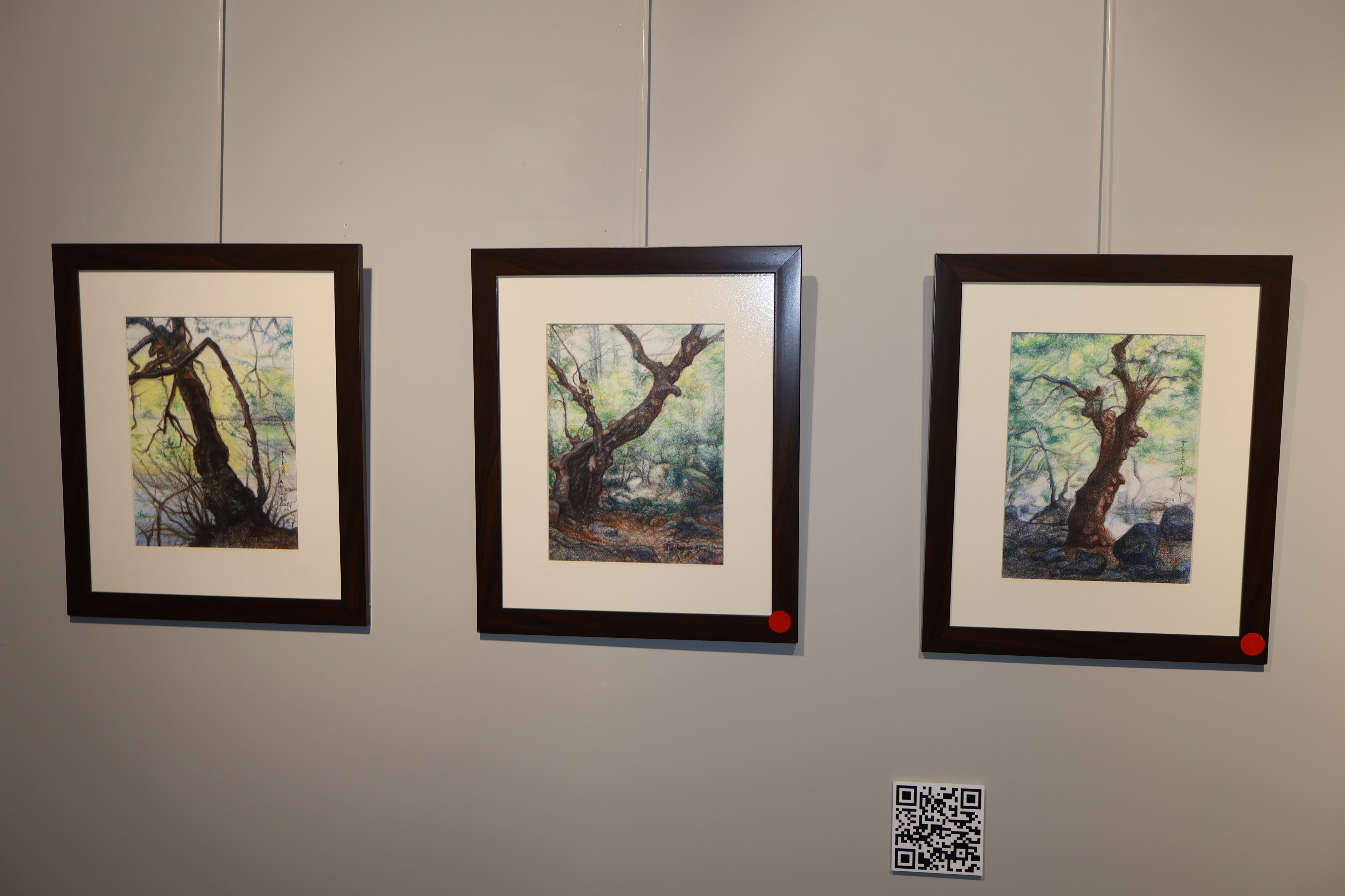 Türkmen Alkan ''Sessiz Direniş'' Sergisi 1 (2)