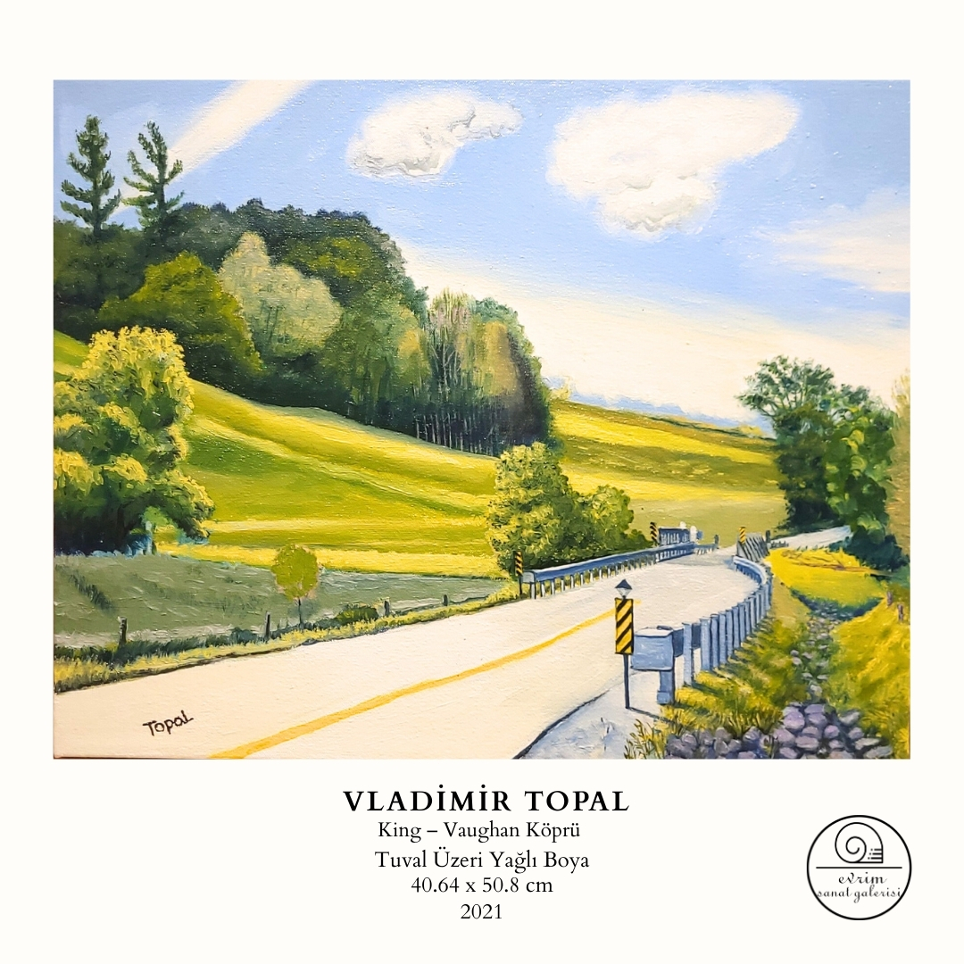 Vladimir Topal Koleksiyonu (10)