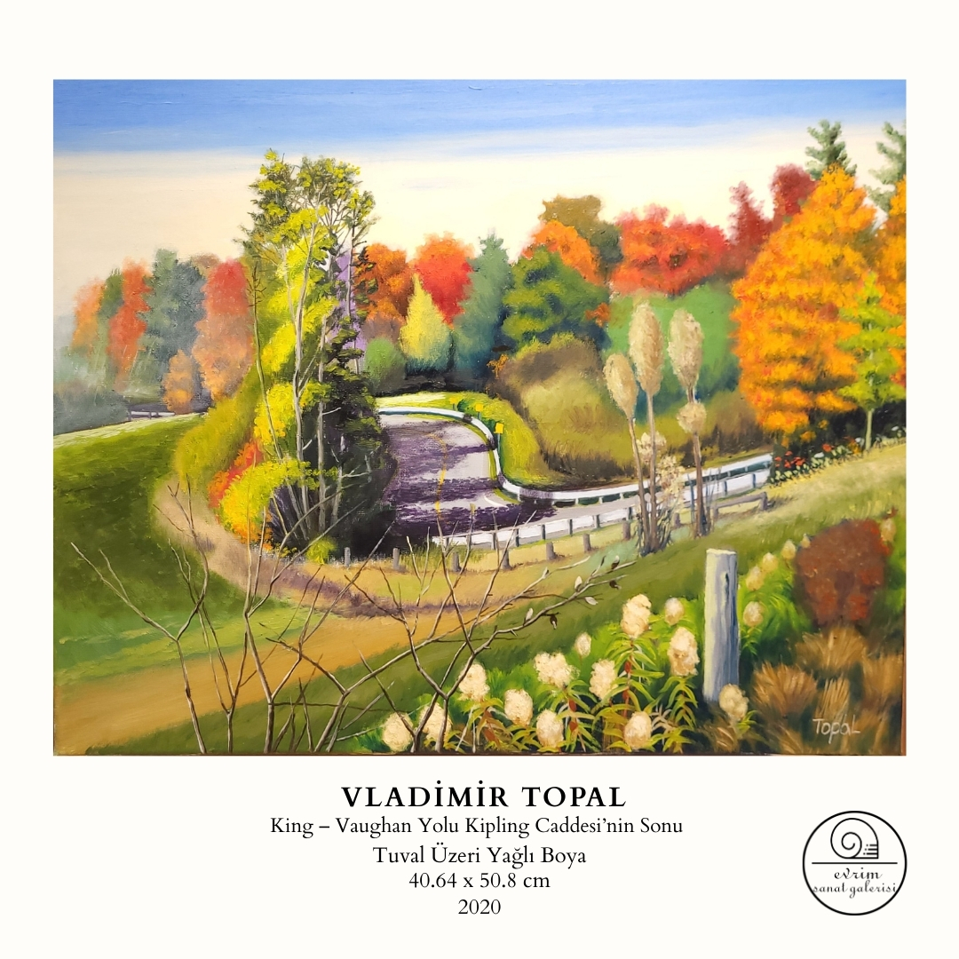 Vladimir Topal Koleksiyonu (11)