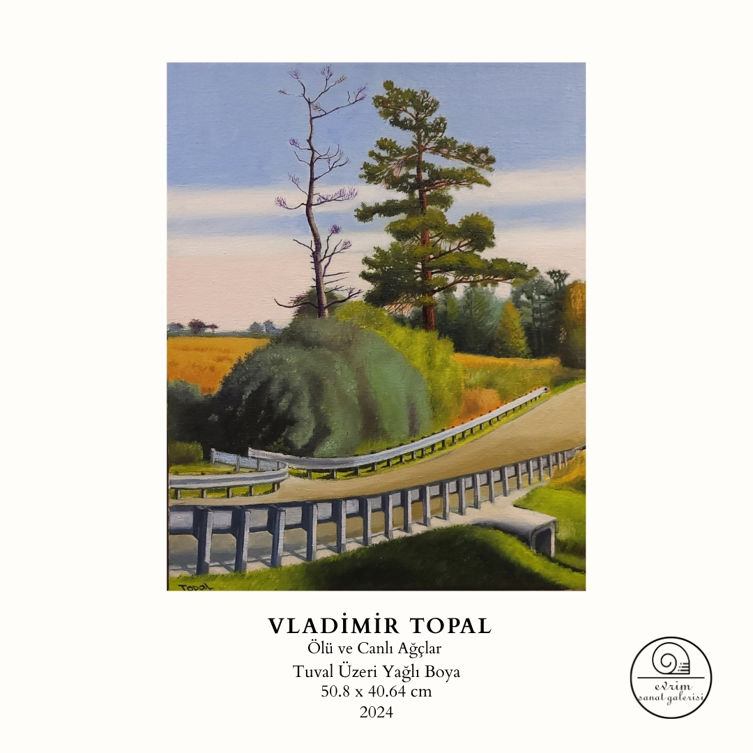 Vladimir Topal Koleksiyonu (18)