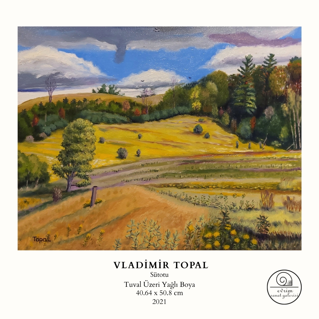 Vladimir Topal Koleksiyonu (20)