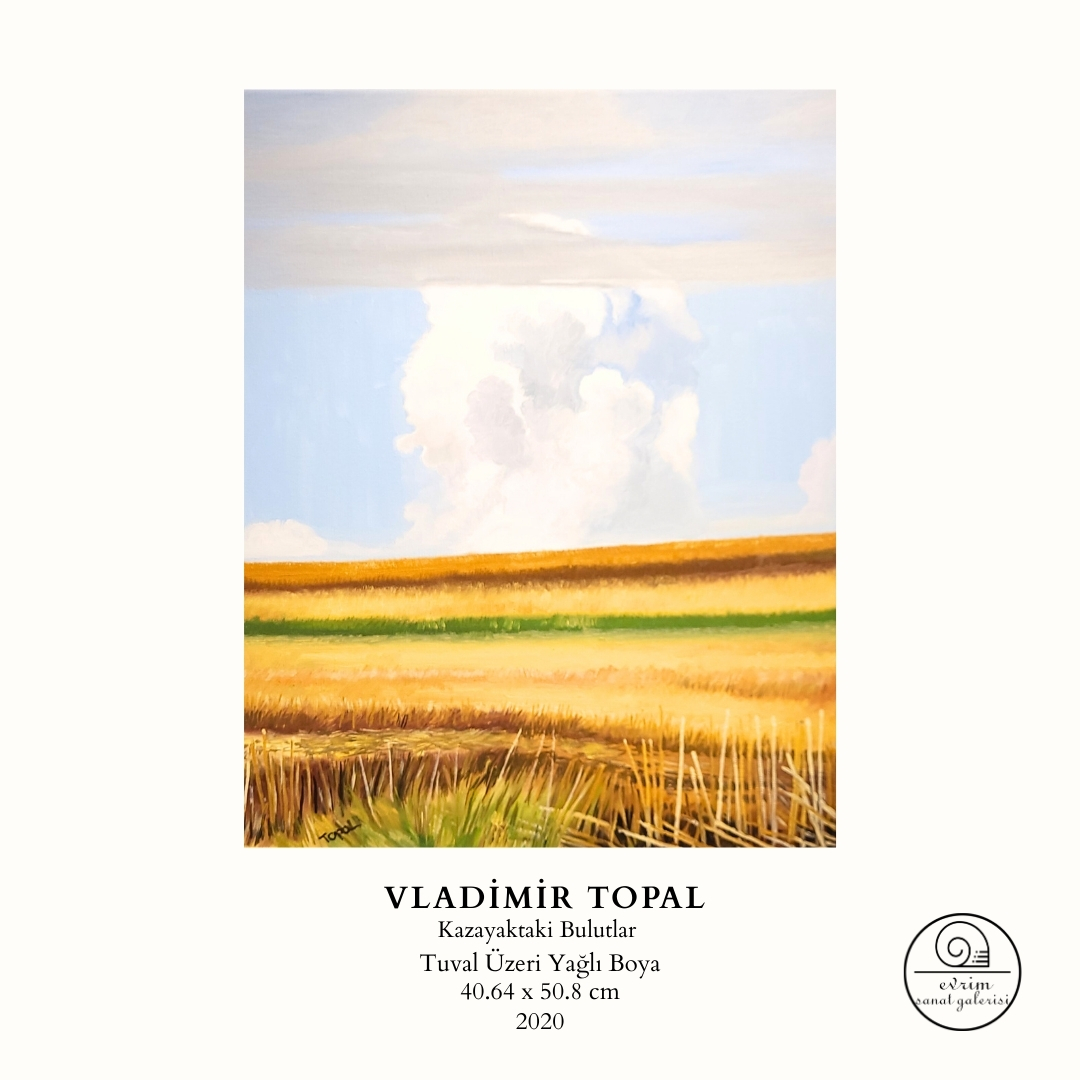 Vladimir Topal Koleksiyonu (24)