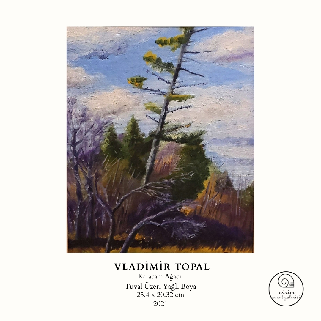 Vladimir Topal Koleksiyonu (27)