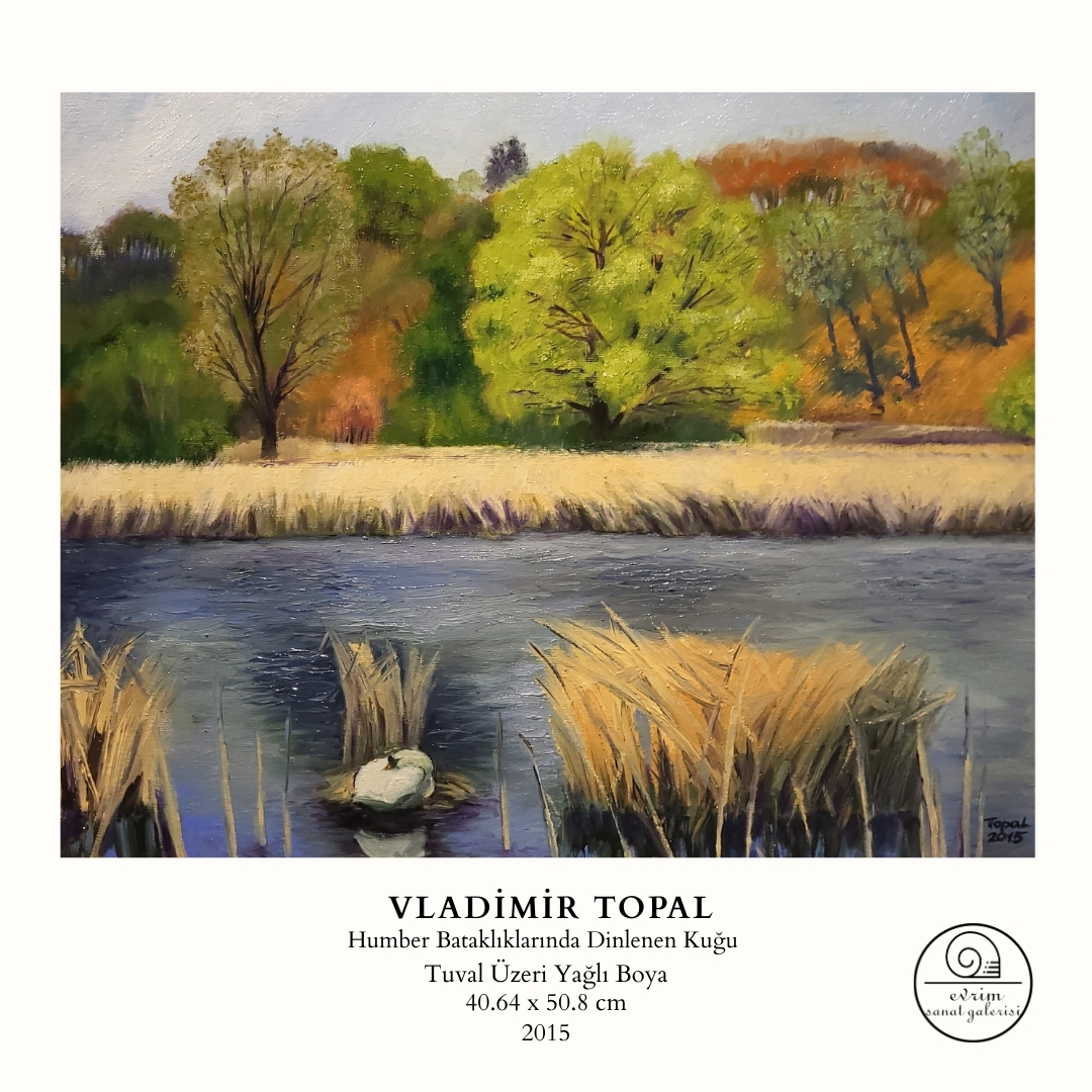 Vladimir Topal Koleksiyonu (29)