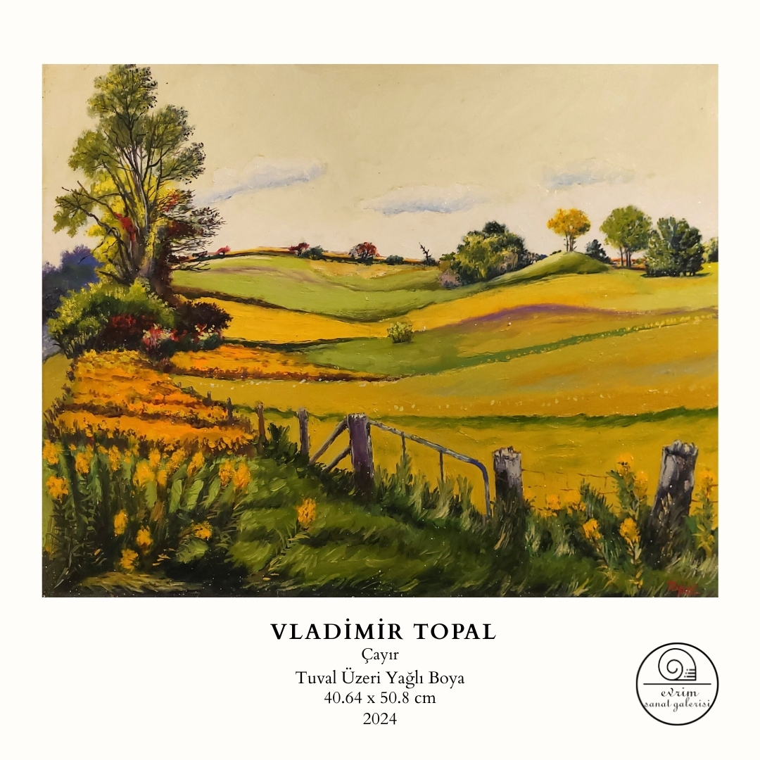 Vladimir Topal Koleksiyonu (3)