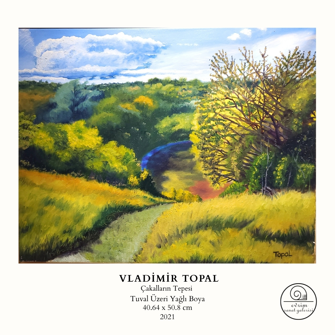 Vladimir Topal Koleksiyonu (35)