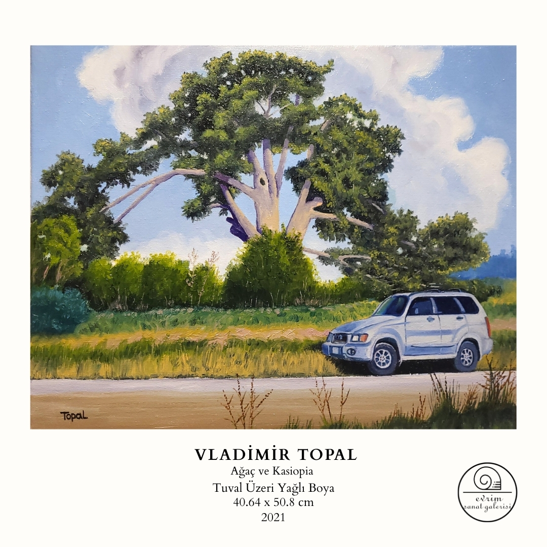 Vladimir Topal Koleksiyonu (7)