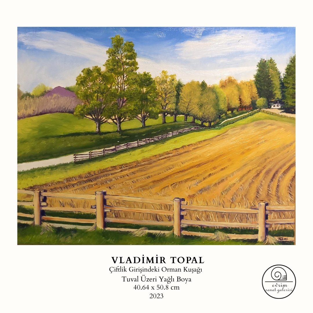 Vladimir Topal Koleksiyonu (8)