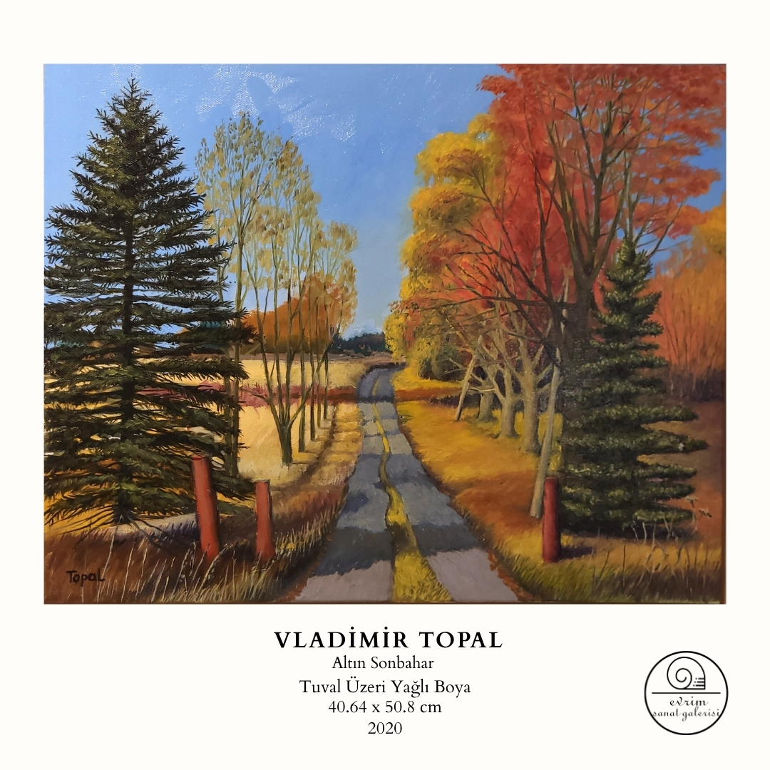 Vladimir Topal Koleksiyonu (9)