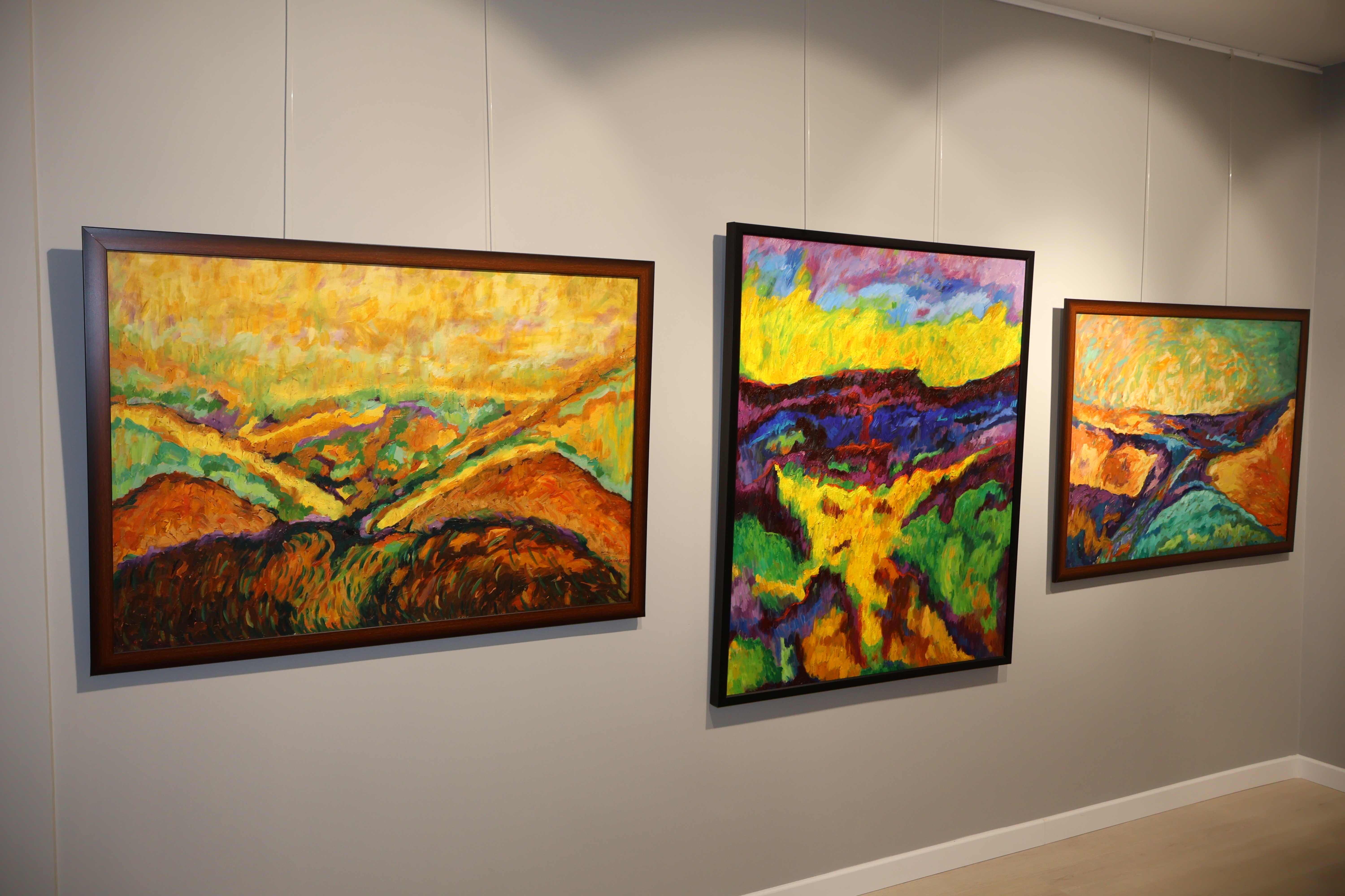 Fehim Güler Periods and Colors Kişisel Resim Sergisi 2 (10)