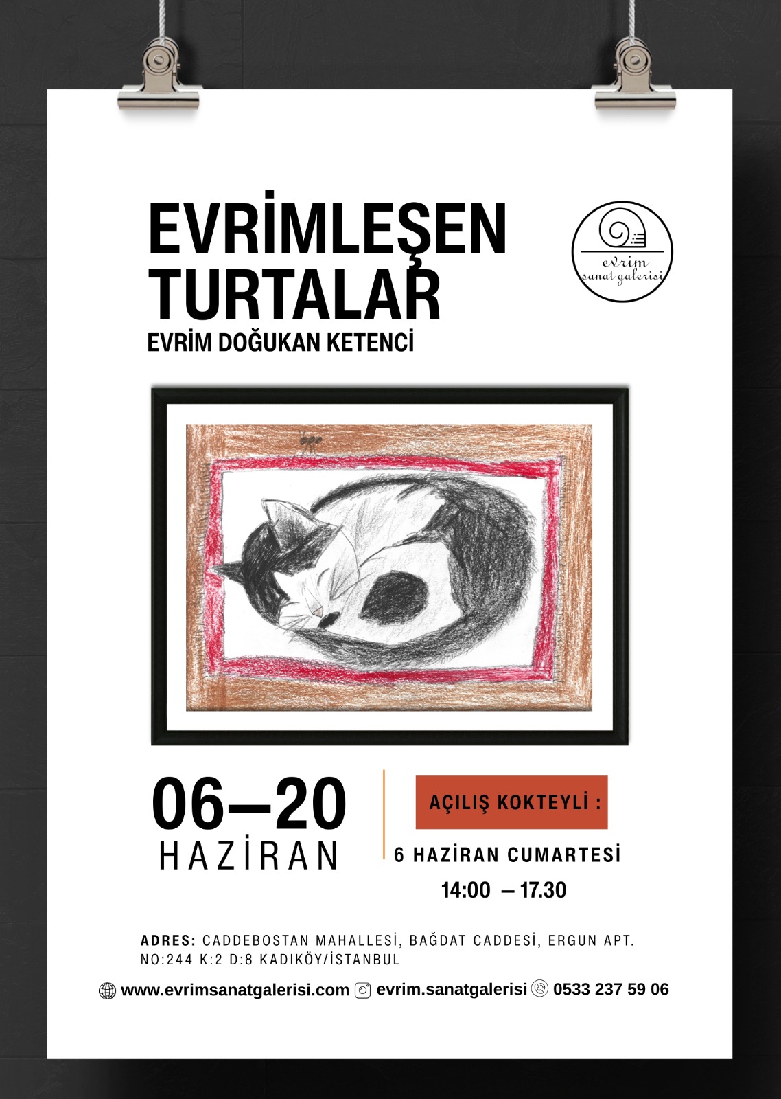 Genç Yetenekten İkinci Kişisel Sergi Evrimleşen Turtalar
