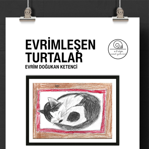 Genç Yetenekten İkinci Kişisel Sergi Evrimleşen Turtalar