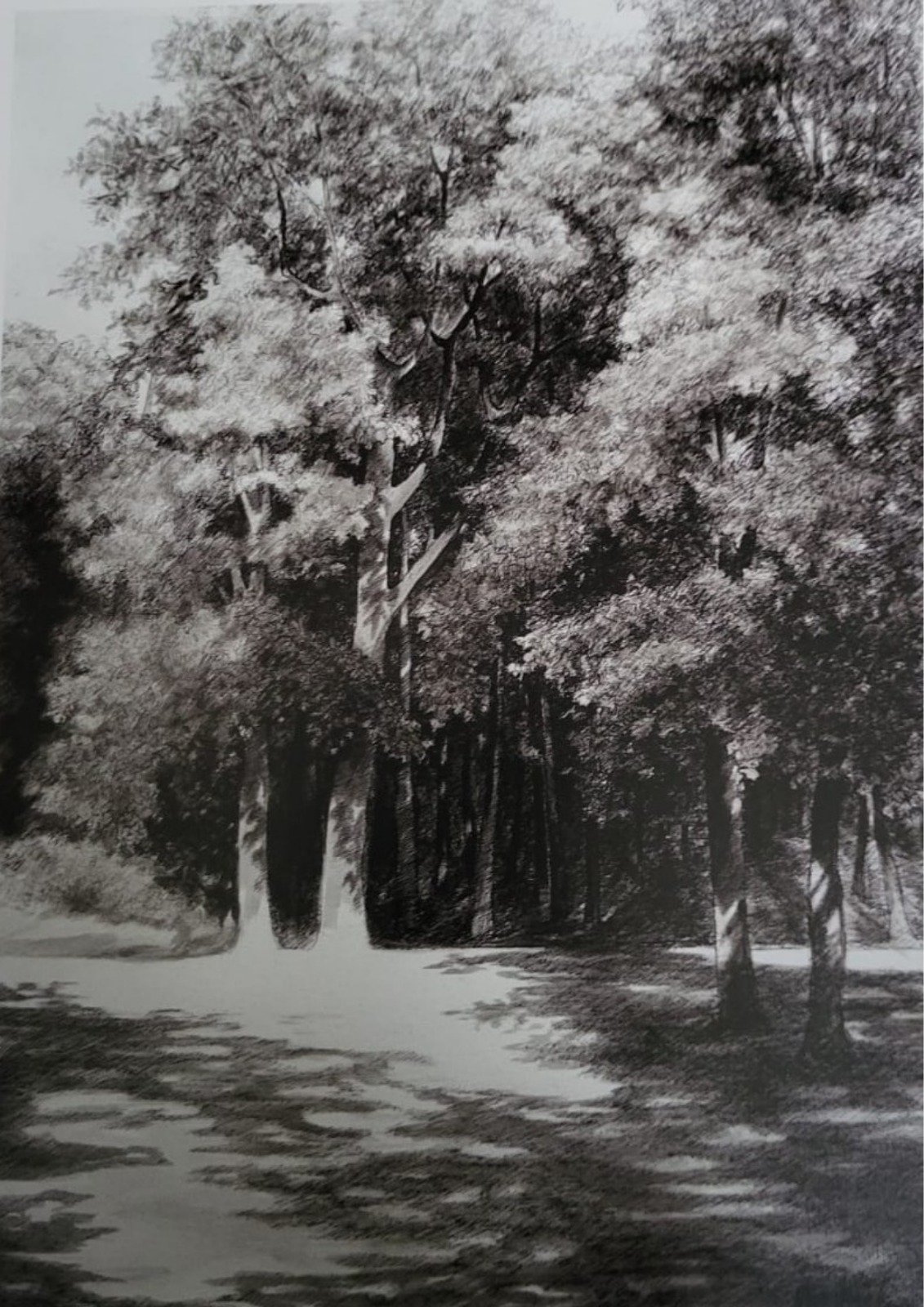 Evrim Sanat Galerisi Koleksiyon Sergisi (9)